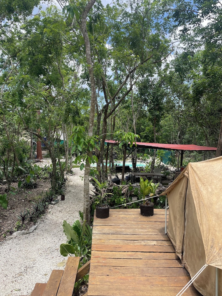Cozumel Glamping