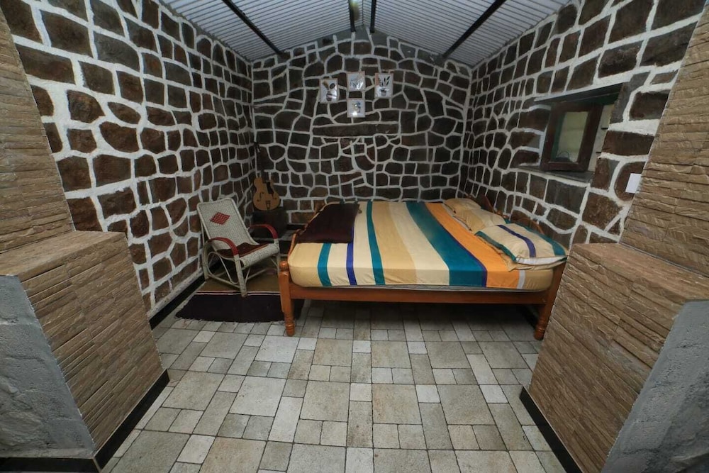 Wild and Free Farm Stay