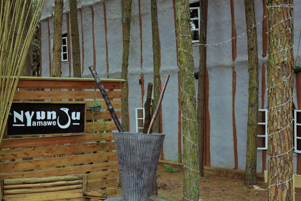 Nyungu Yamawe Forest Park