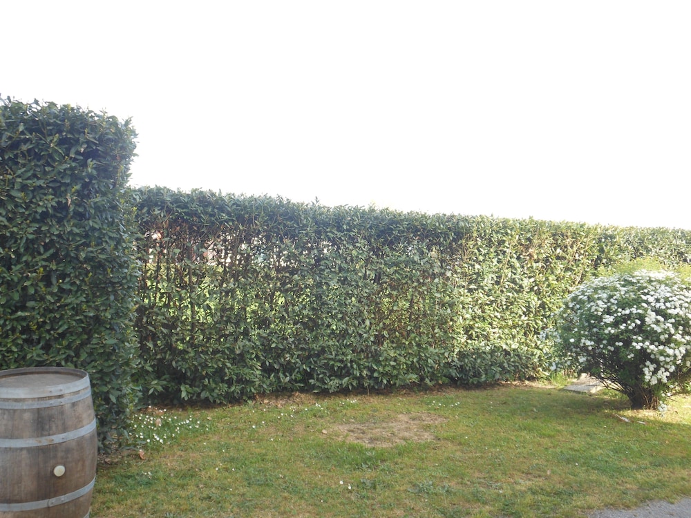 Bed & Breakfast La Corte, photo 14