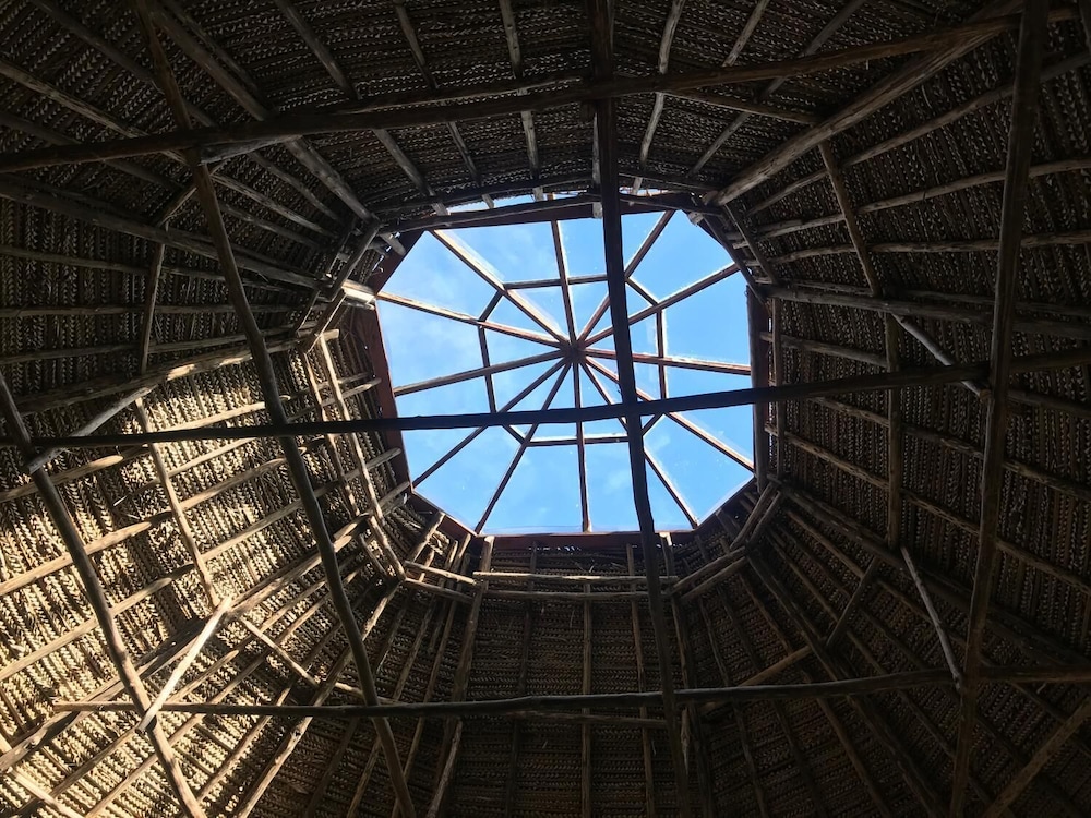 Ayahuaska