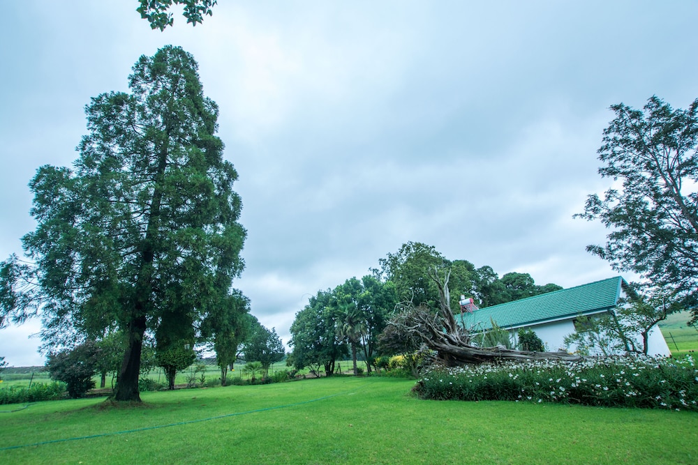 Hoyo Hoyo Machadostud Lodge