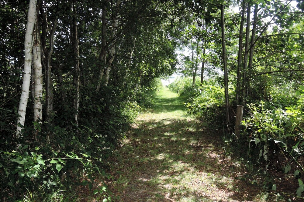 Lakeside Getaway With Family Amenities