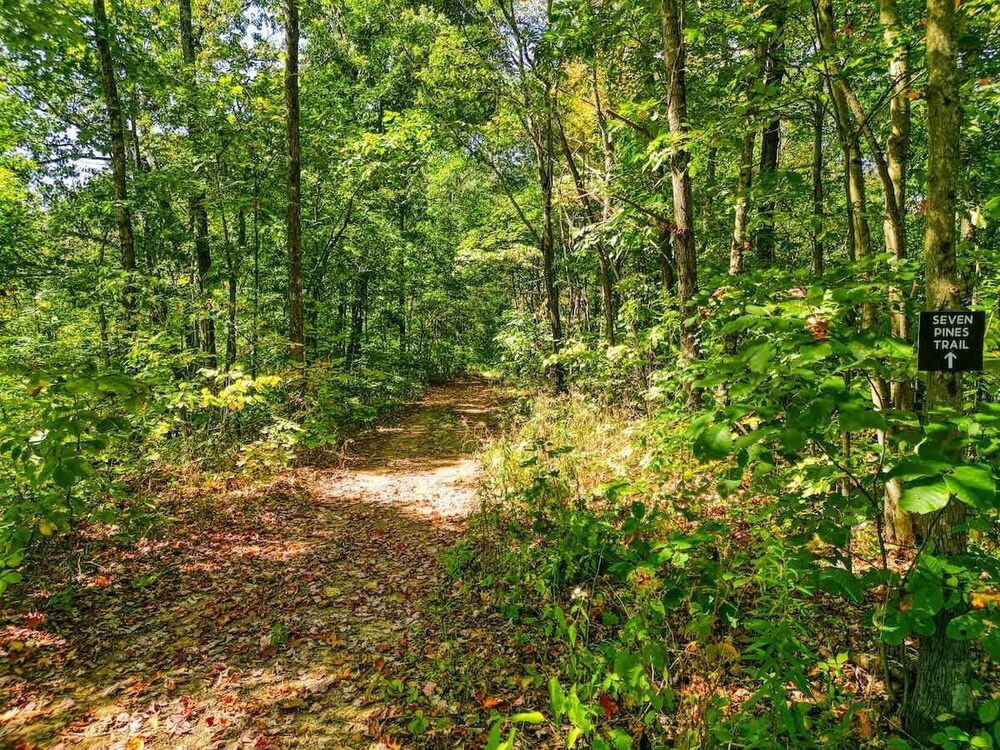 Seven Pines Cabin - Secluded in Hocking Hills