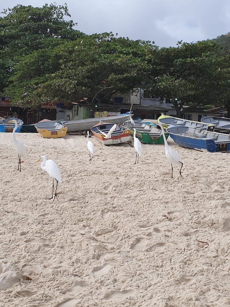 Andorinhas