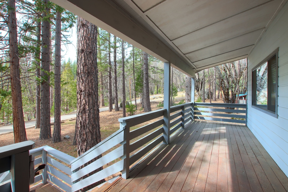 Cabin Among the Firs