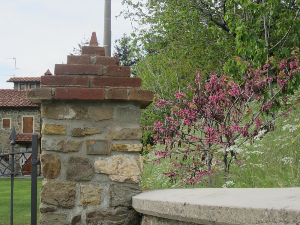 Photo 43