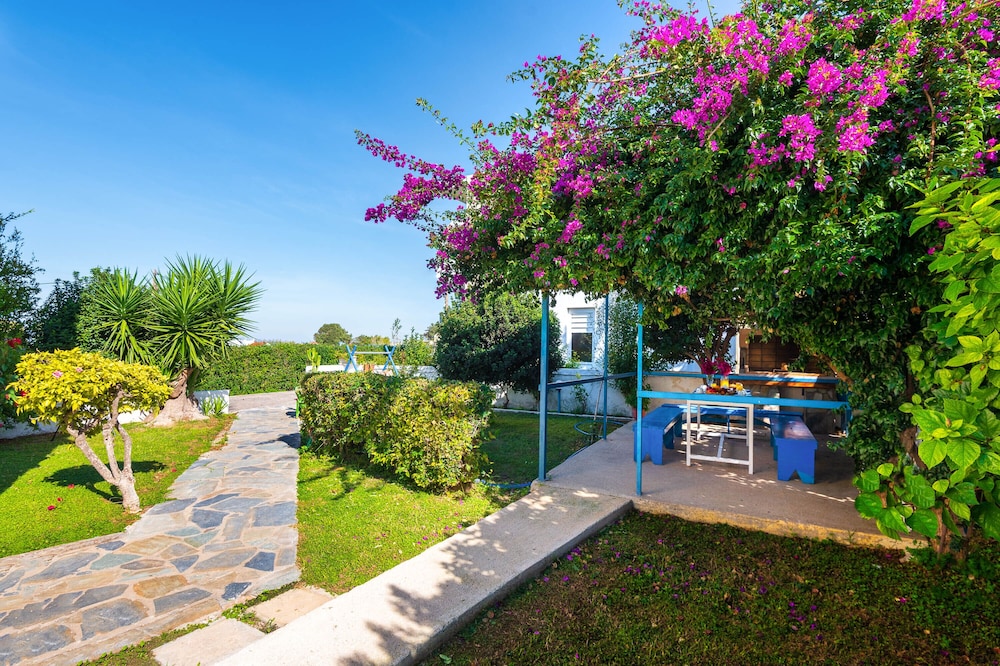 Photo 7