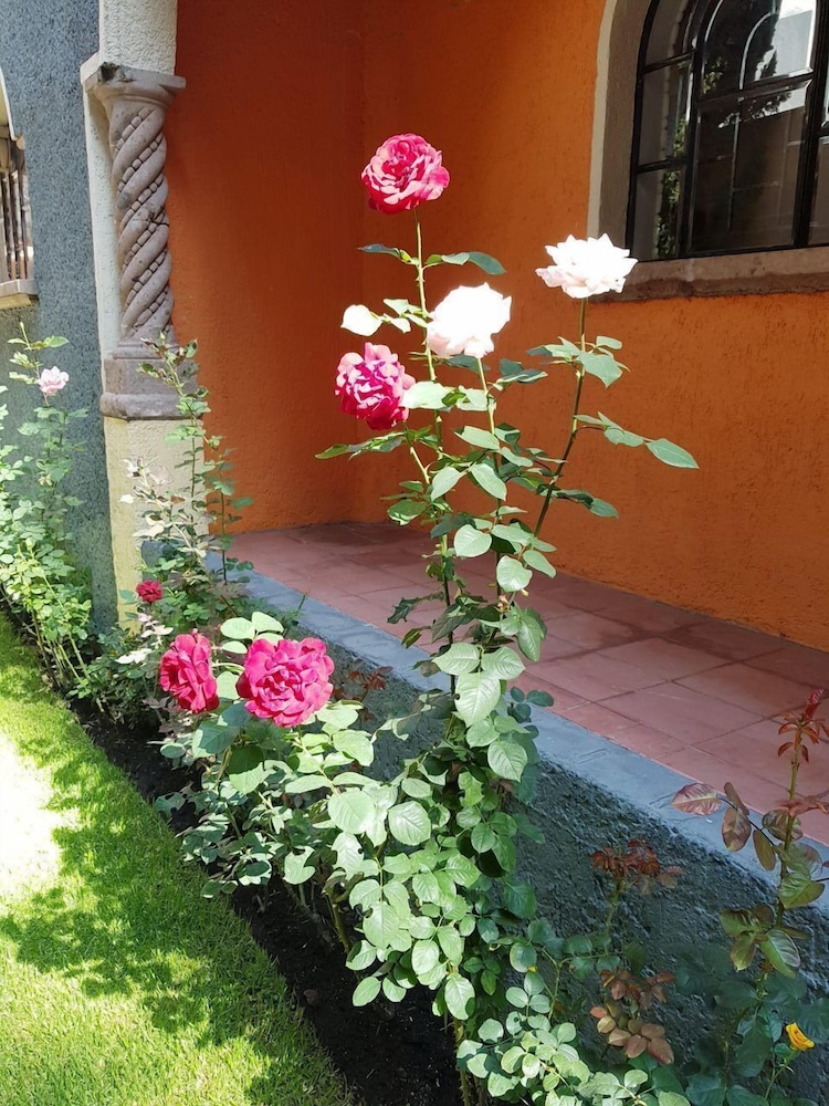 Villa Alfonsina exterior photo