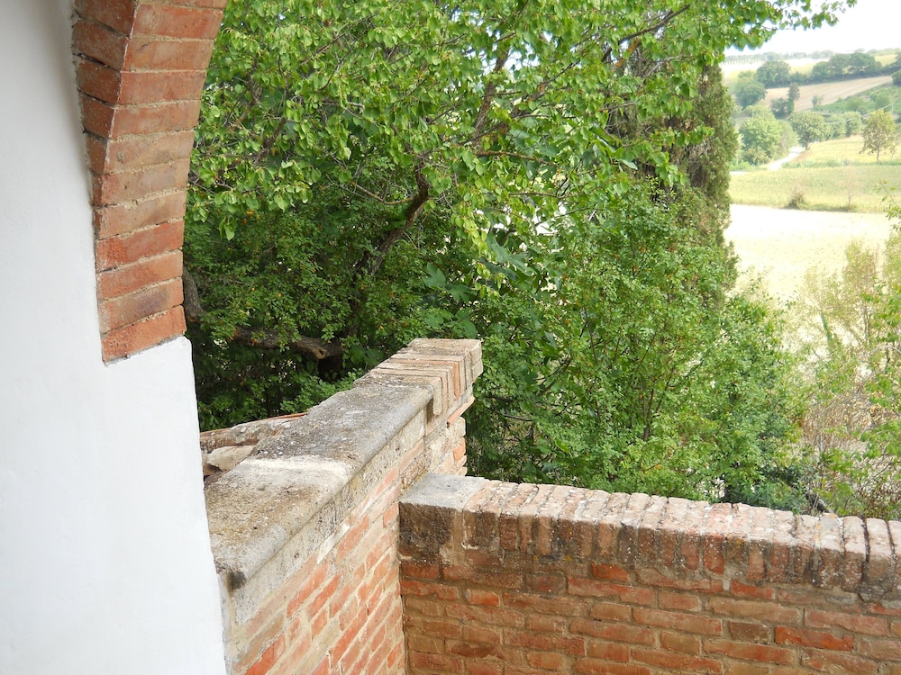 Caio Alto