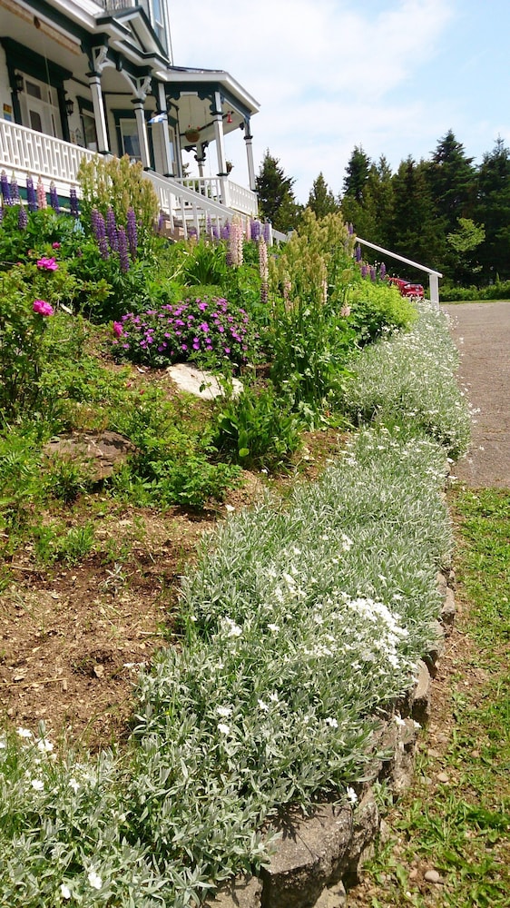 B&B Le Manoir du vieux Presbytère