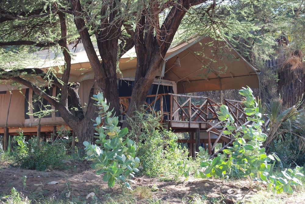 Elephant Bedroom Camp