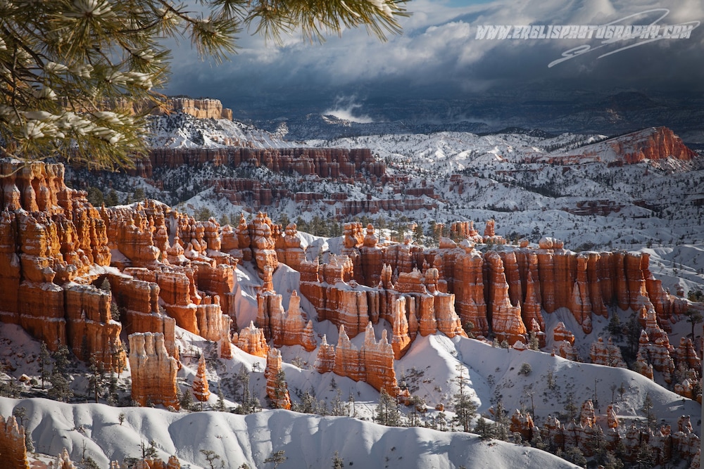 Bryce Trails Bed and Breakfast