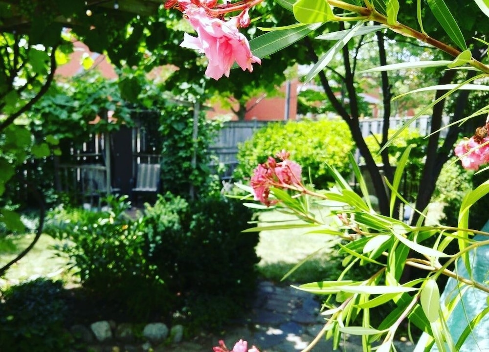 Opus 74 Bed & Breakfast