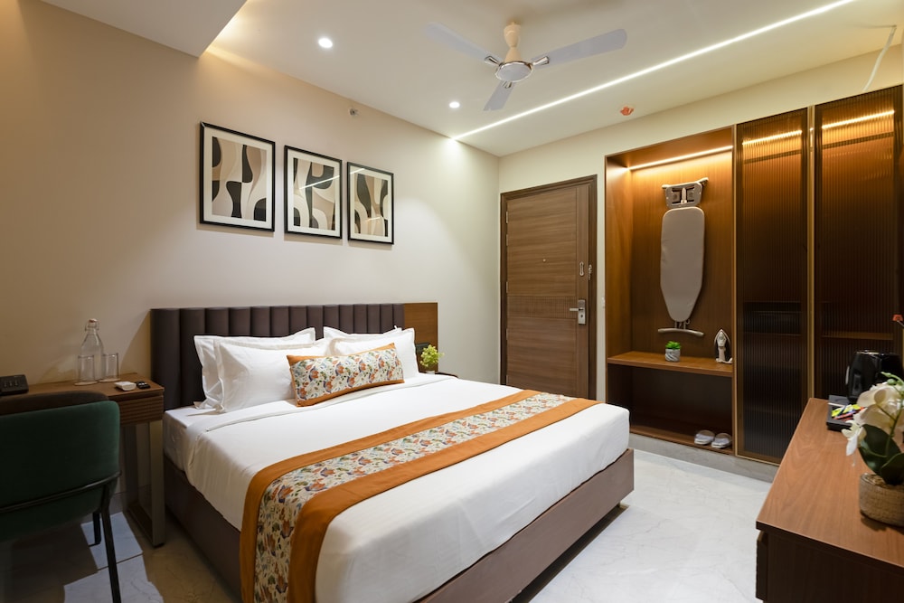 Saltstayz Premier Naraina Central Delhi
