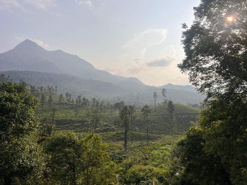 Mountain Serenity