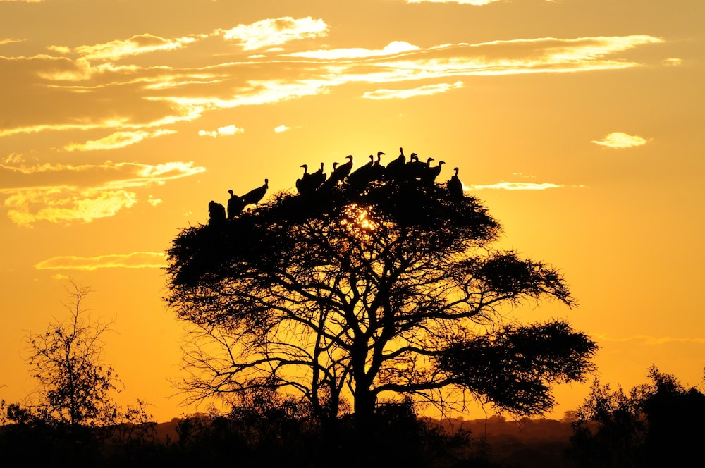 Morokolo Safari Lodge