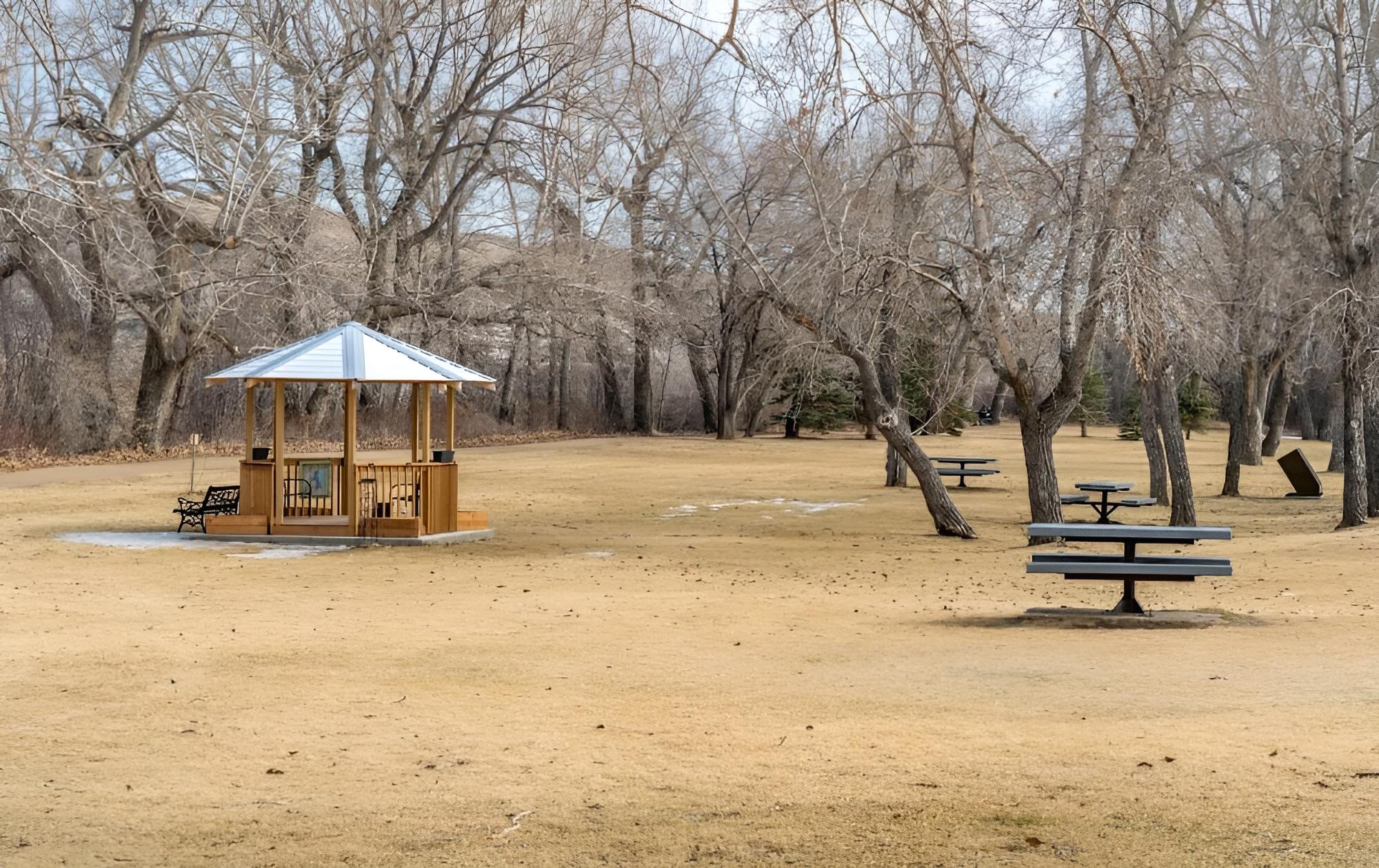 Timber Valley No Service Fees Ping Pong Table