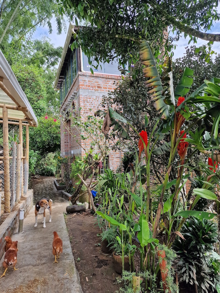 Casa Tien