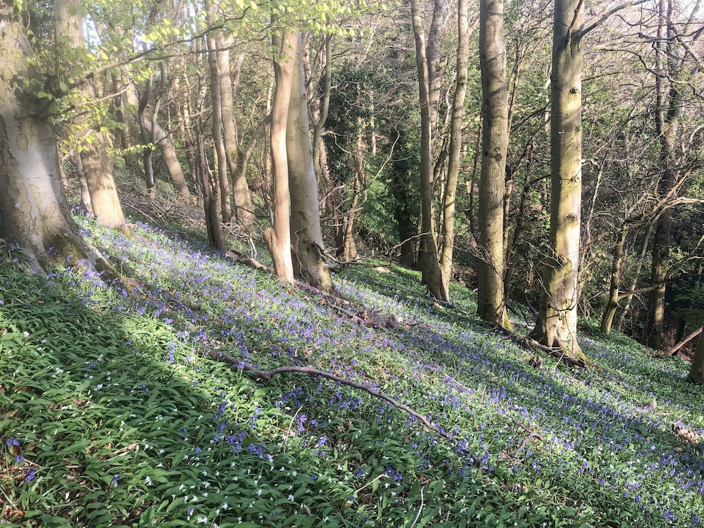 Under Catswood