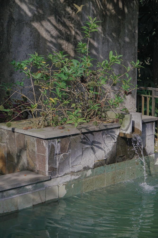 Jambu Klutuk Resort