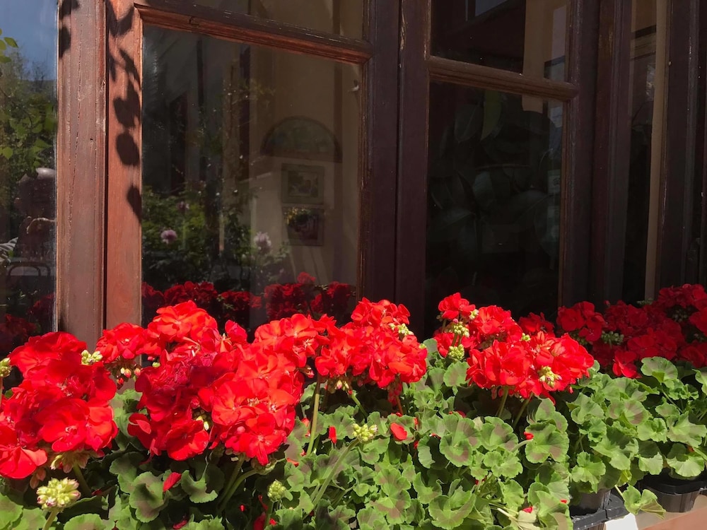 Bed & Breakfast Ristorante Belvedere