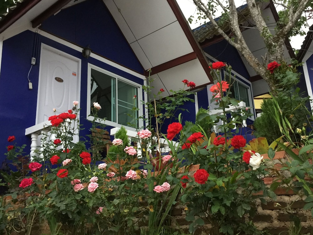 Shin Sane Guesthouse
