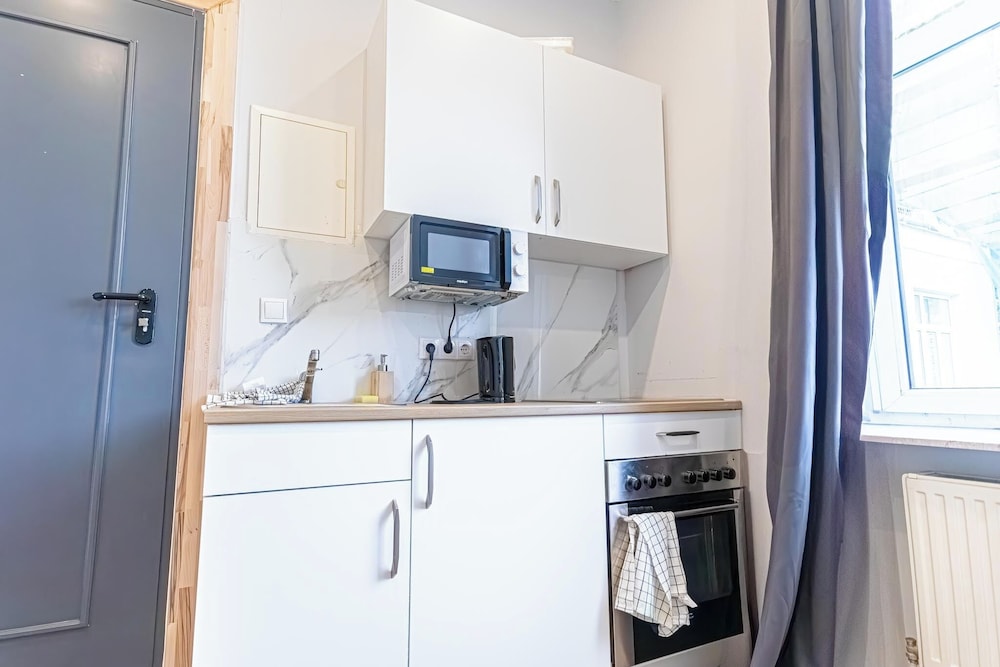 9BR Apts in the Heart of Vienna