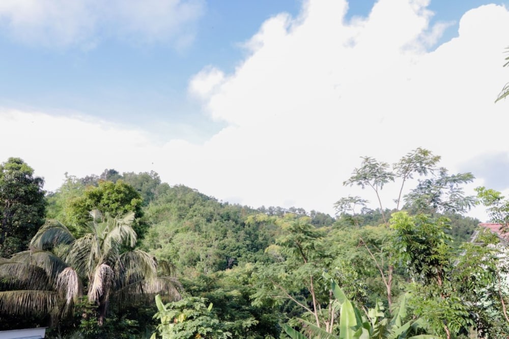 Serut 1 Homestay - Hostel view 4