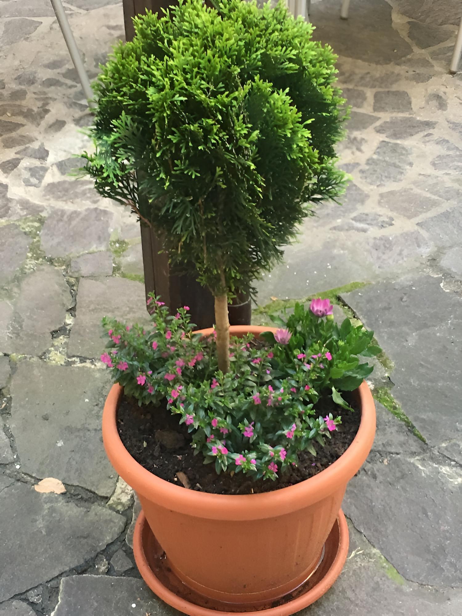 Photo 48
