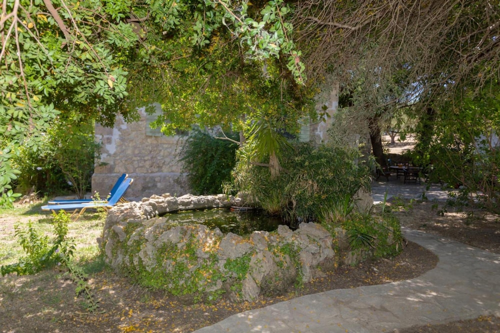 Photo 24