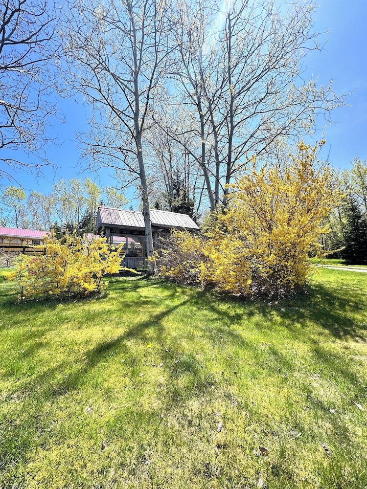 Skyline Cabins