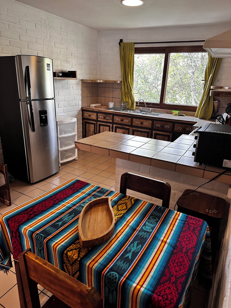 Apartamentos Otorongo
