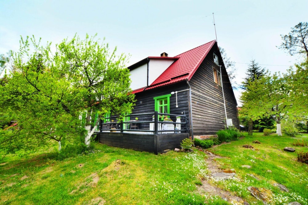 Photo 41