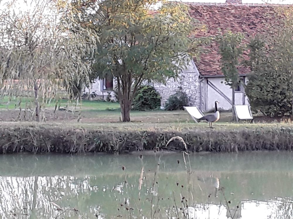 La Belvinière