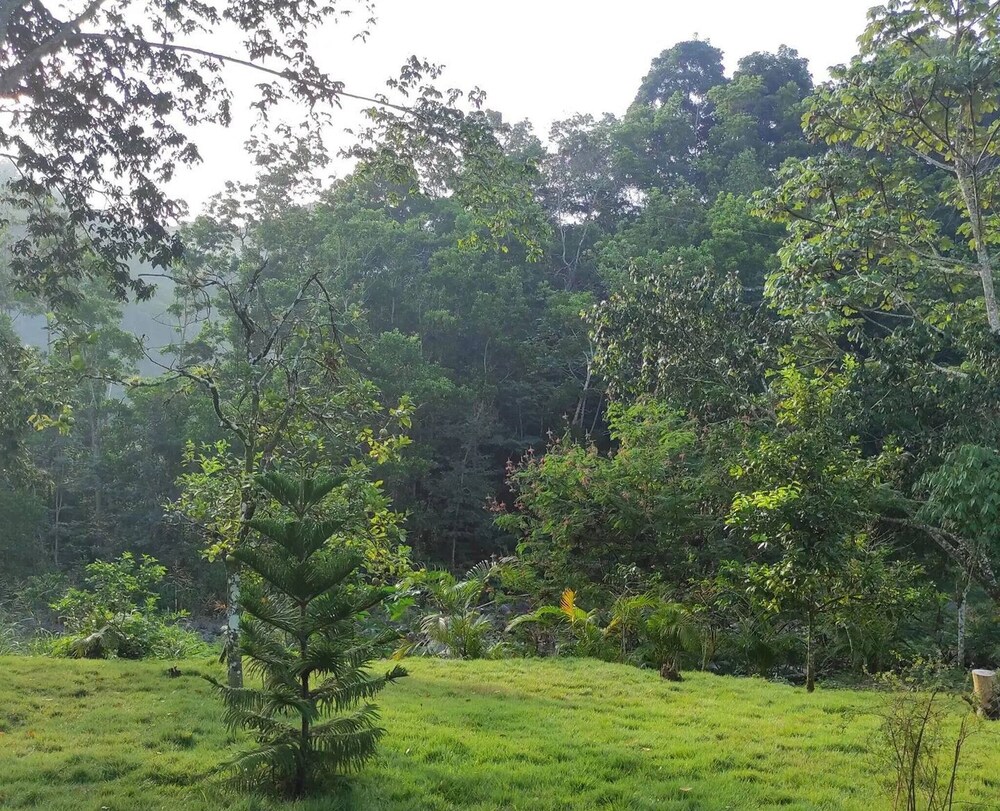 Lechuza River Campingcamping House - Photo 14
