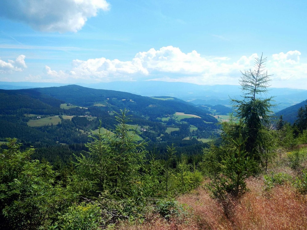 Detached Wooden Chalet in Liebenfels / Carinthia Near the Simonhohe ski Area