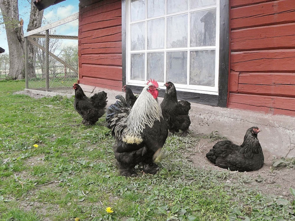 6 Person Holiday Home in Hova-by Traum view 4