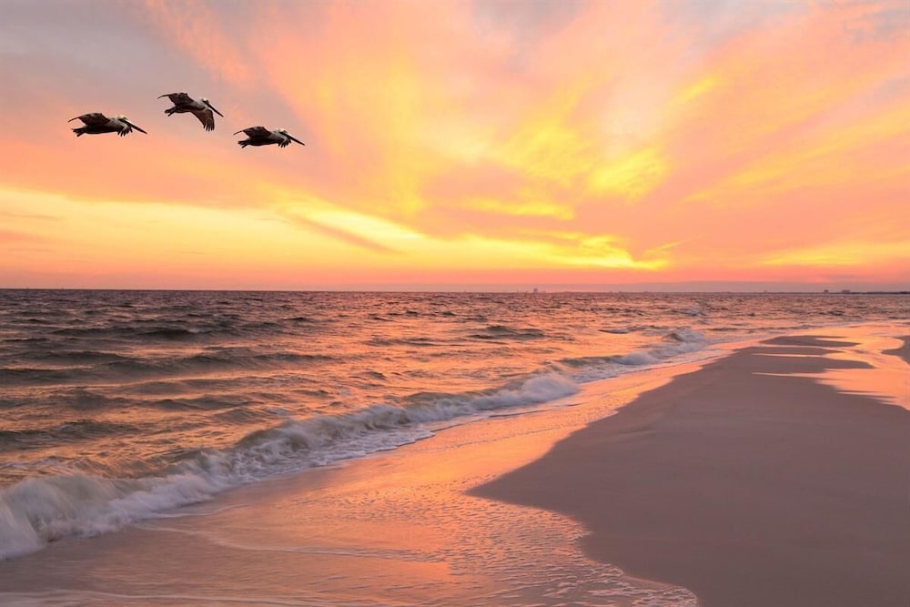 The Intercoastal #205 - Beachy Chic