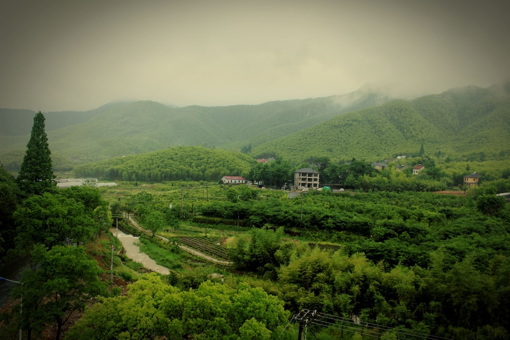 Moganshan Wild House