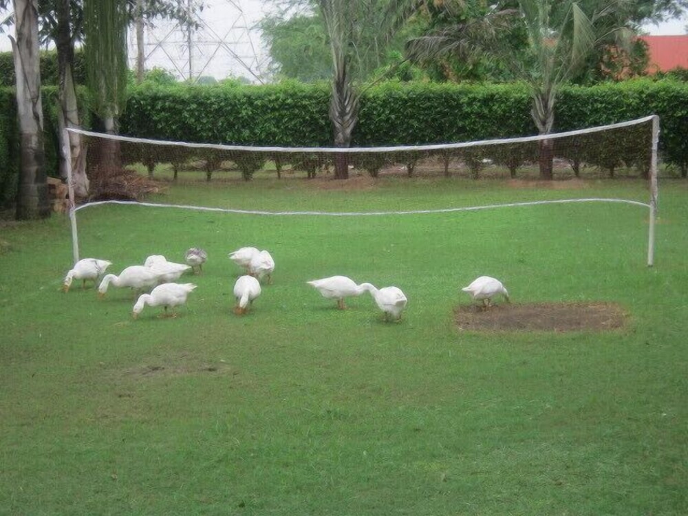 Family Kingdom