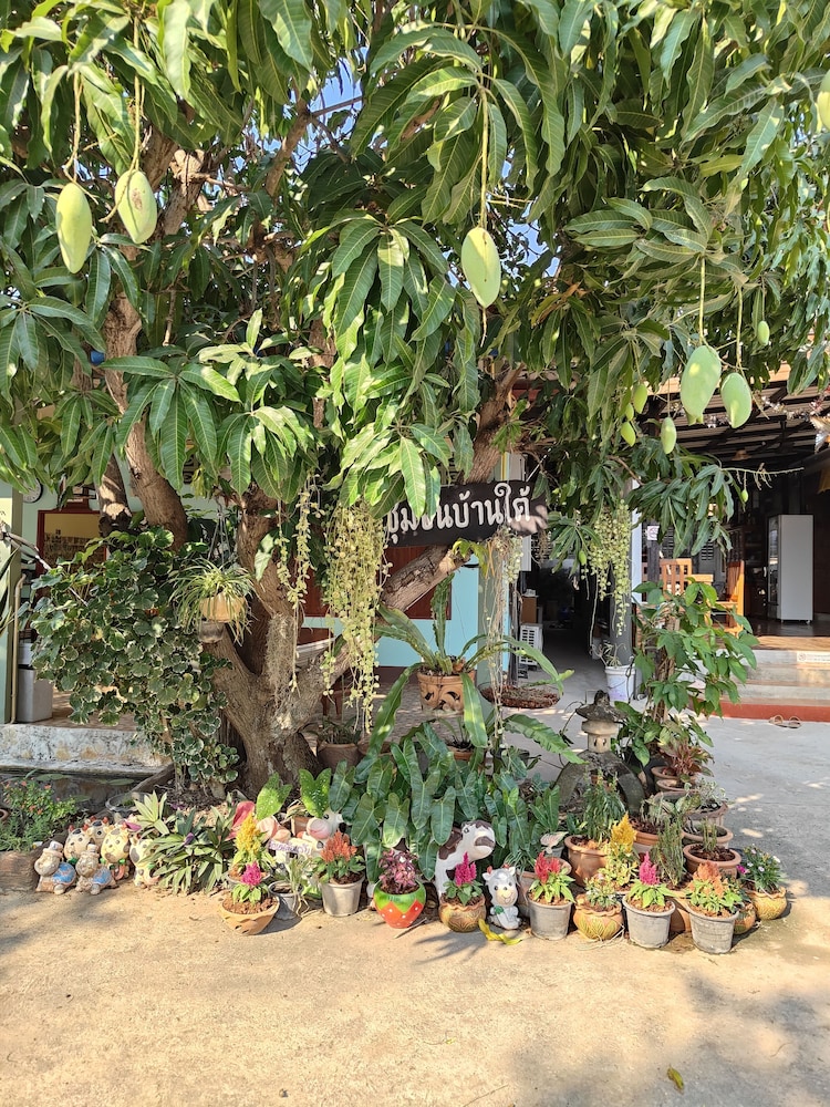 Smilingface Guesthouse