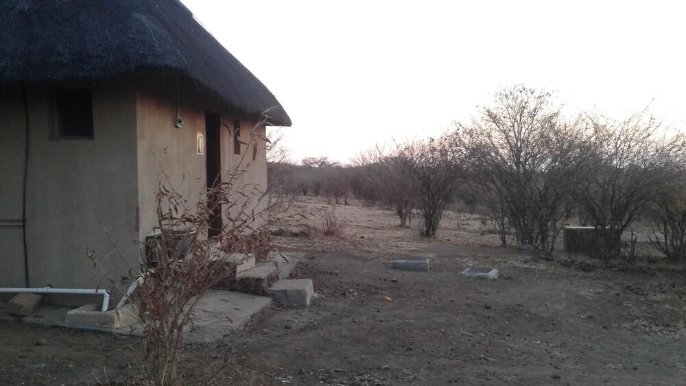 Photo 23