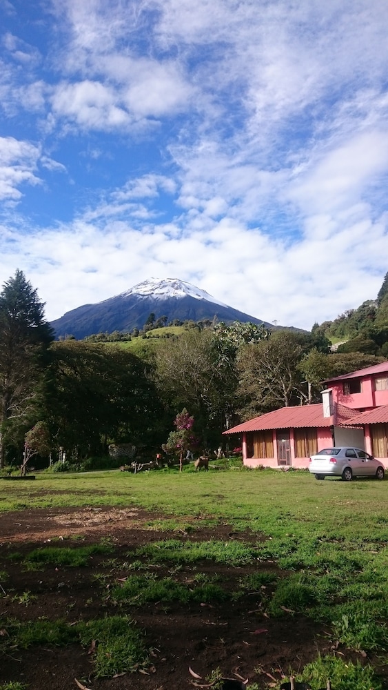 Rutun Orquídeas