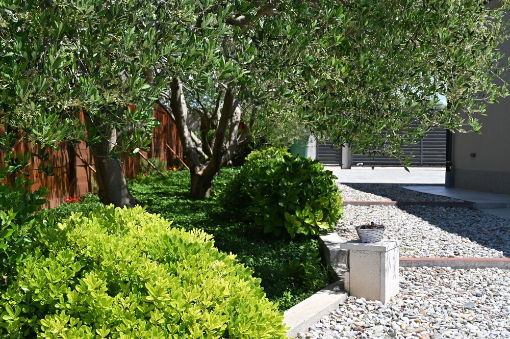 Photo 42