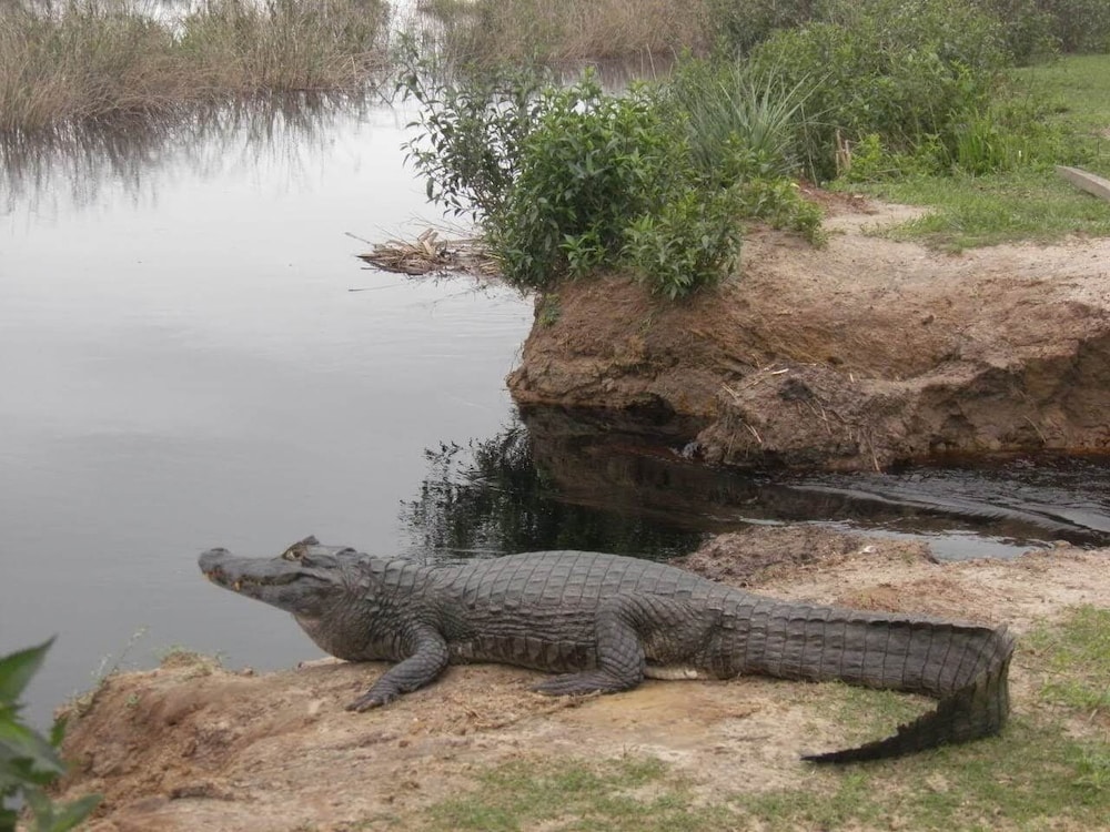 Wild Wetlands Lodge