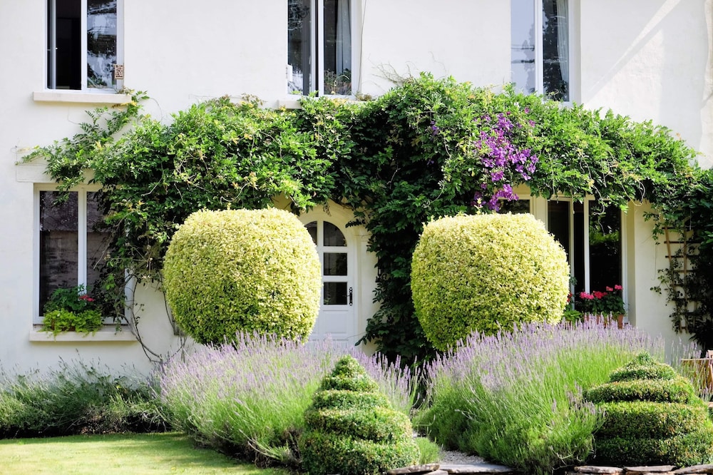 B&B St Emilion Braz