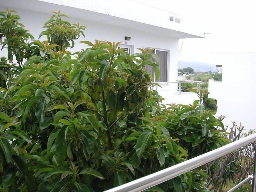 Maria Studios and Apartments
