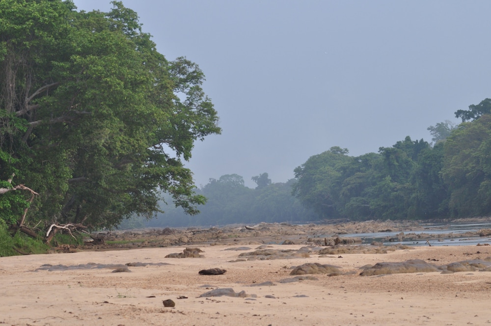 Explorer by Eco Team - Wasgamuwa National Park
