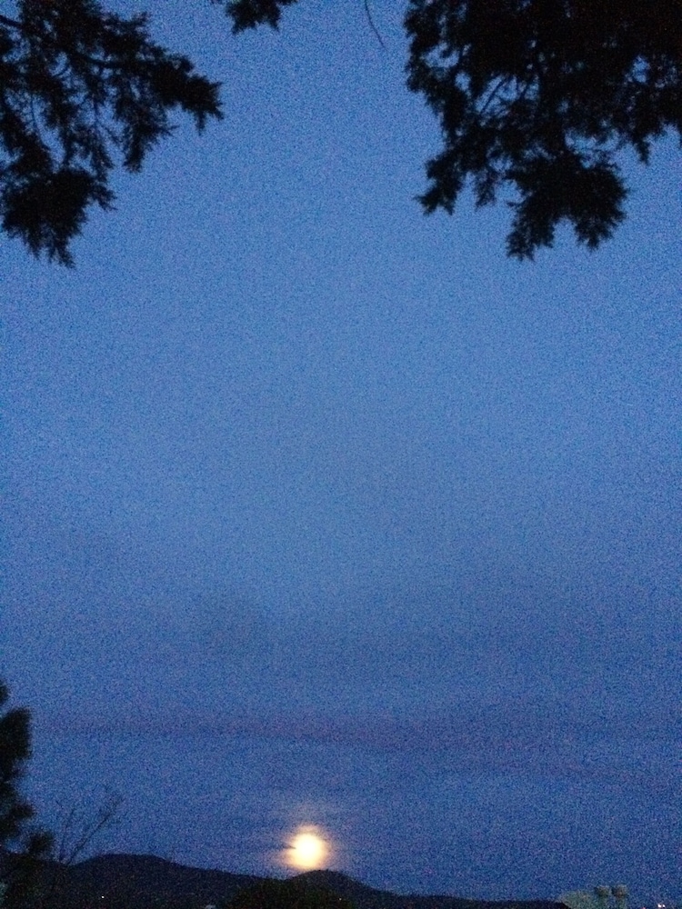 Bear Mountain Lodge